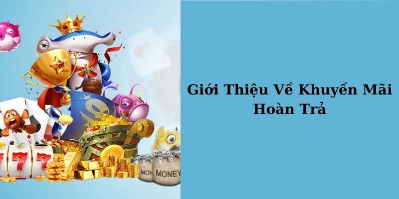 Tìm hiểu chi tiết về chương trình hoàn trả Kubet là như nào?